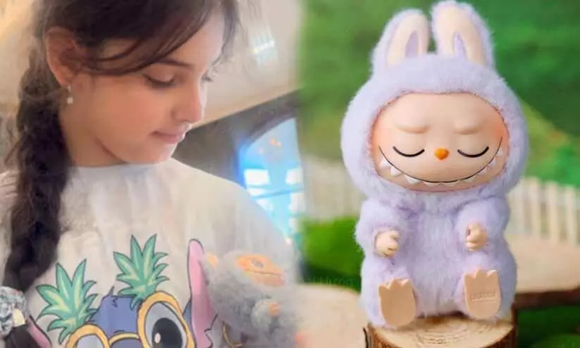 ഇത് ട്രെൻഡല്ല, എന്റെ ഫ്രണ്ടാണ്; ലബുബു ട്രെൻഡിൽ കരൺ ജോഹറിന്റെ മകളും ഇത് ട്രെൻഡല്ല, എന്റെ ഫ്രണ്ടാണ്; ലബുബു ട്രെൻഡിൽ കരൺ ജോഹറിന്റെ മകളും