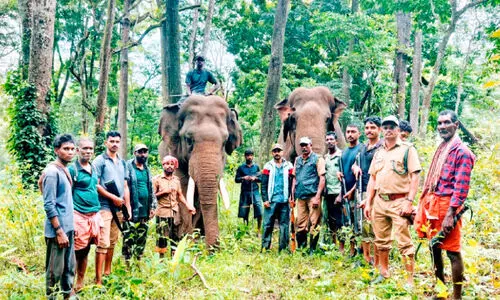 കാ​ട്ടാ​ന ശ​ല്യം; പൊ​റു​തി​മു​ട്ടി ചു​ണ്ടേ​ൽ ആ​ന​പ്പാ​റ