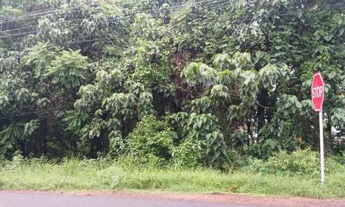 സ്ഥ​ല​മു​ണ്ട്, സ്വ​ന്തം കെ​ട്ടി​ടമില്ല; നീ​ലേ​ശ്വ​രം കെ.​എ​സ്.​ഇ.​ബി സെ​ക്ഷ​ൻ ഓ​ഫി​സ് വാടകക്കെട്ടിടത്തിൽ തന്നെ