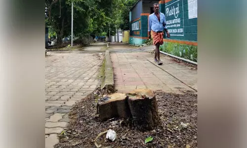 സ്വകാര്യ വ്യക്തിയുടെ മതിലിലെ പരസ്യം കാണാൻ മരം മുറിച്ച് പൊതുമരാമത്ത് വകുപ്പ്