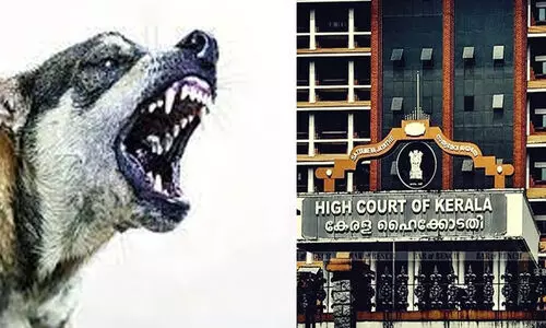 തെരുവുനായ്​ ആ​ക്രമണം: ദുരന്ത നിവാരണ ഫണ്ട്​ ഉപയോഗപ്പെടുത്താൻ ആകുമോയെന്ന്​ ഹൈകോടതി