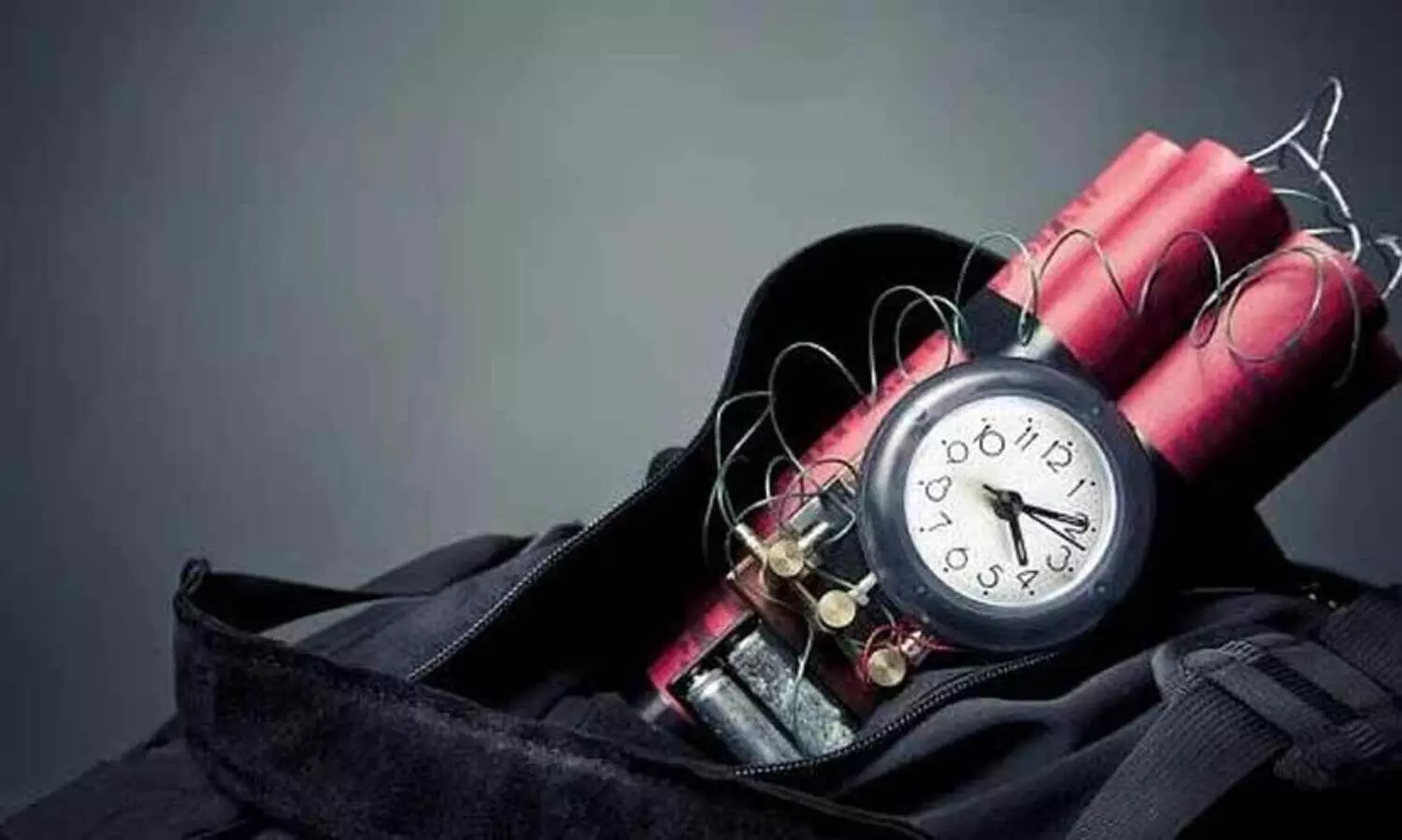 ഡൽഹി സ്കൂളുകൾക്കും കോളജുകൾക്കും നേരെ തുടരെയുള്ള ബോംബ് ഭീഷണികൾ; പരിഭ്രാന്തിയിൽ വിദ്യാർഥികളും മാതാപിതാക്കളും