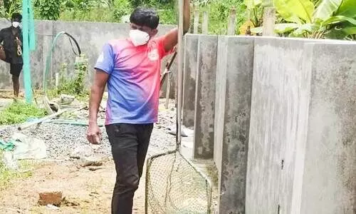 പു​ൽ​പ​ള്ളി​യി​ൽ തെ​രു​വു​നാ​യ്  പ്ര​ജ​ന​ന നി​യ​ന്ത്ര​ണ പ​ദ്ധ​തി; 30ഓ​ളം നാ​യ്ക്ക​ളെ​ ഡോ​ഗ് കാ​ച്ച​ർ​മാ​രു​ടെ സം​ഘം പി​ടി​കൂ​ടി​