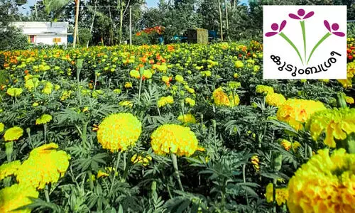 ഈ ഓണം കുടുംബശ്രീയുടെ കൈകളിലൂടെ; പൂമണം പരക്കും... ഓണക്കനികൾ കായ്ക്കും... ഈ ഓണം കുടുംബശ്രീയുടെ കൈകളിലൂടെ; പൂമണം പരക്കും... ഓണക്കനികൾ കായ്ക്കും...