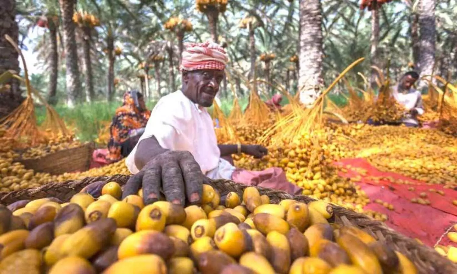 ‘ത​ബ്സീ​ൽ’ അ​വ​സാ​ന​ത്തി​ലേ​ക്ക്; ഗ്രാ​മ​ങ്ങ​ളി​ൽ ഉ​ത്സ​വാ​ര​വം