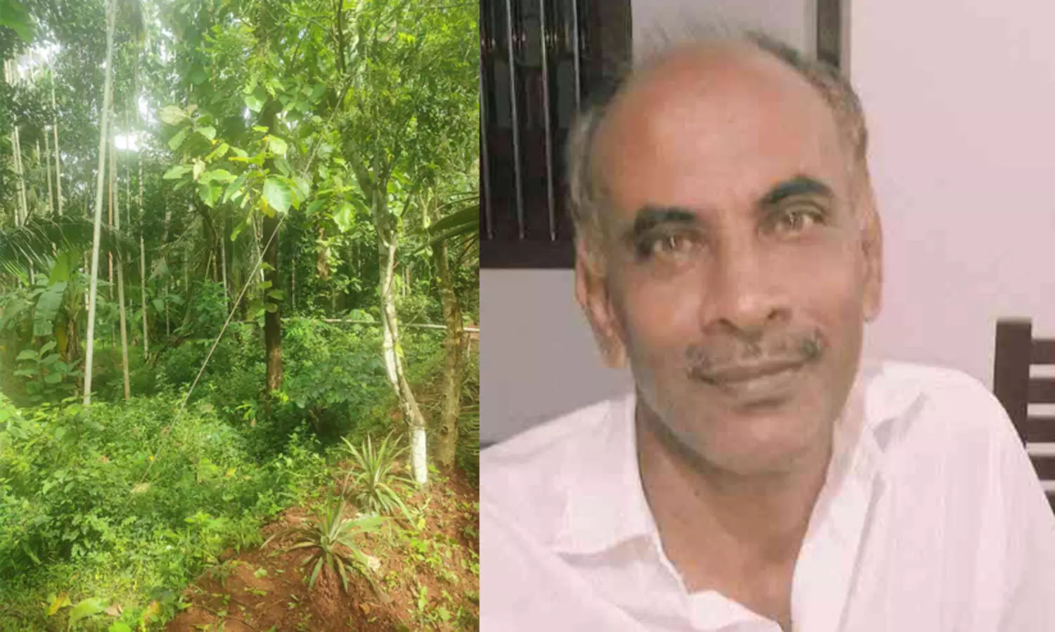 വൈദ്യുതി കമ്പി പൊട്ടിവീണ വിവരം രാത്രി തന്നെ അറിയിച്ചു, 15 മണിക്കൂര്‍ കഴിഞ്ഞിട്ടും ഓഫാക്കിയില്ല; കെ.എസ്.ഇ.ബിയുടെ അനാസ്ഥയെന്ന് ആരോപണം, പ്രതിഷേധം ശക്തം