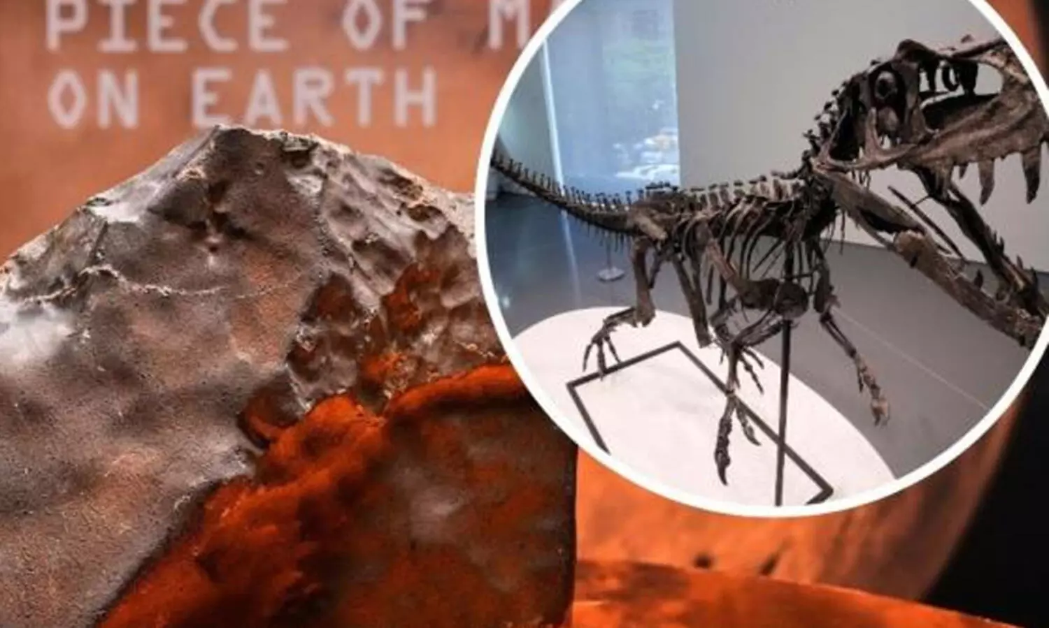 ചൊവ്വയുടെ ഒരു കഷ്ണം ലേലത്തിൽ വിറ്റത് 53 ലക്ഷം ഡോളറിന്; പക്ഷെ, ഷോയിൽ താരമായത് ‘യുവ’ ദിനോസർ