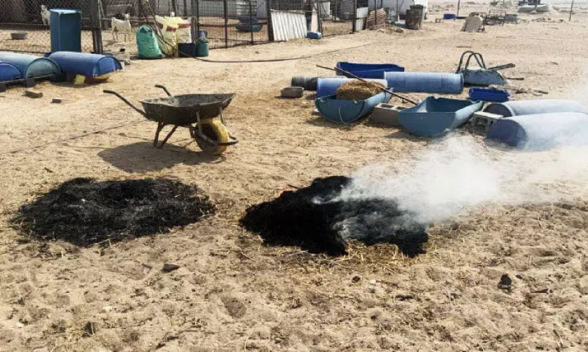 inspection inspection