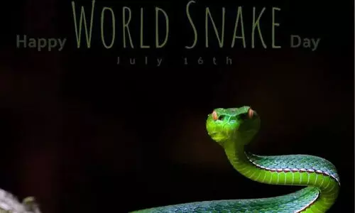 പാ​മ്പുകളും ജീവിച്ചോട്ടെ; അവ ശത്രുക്കളല്ല