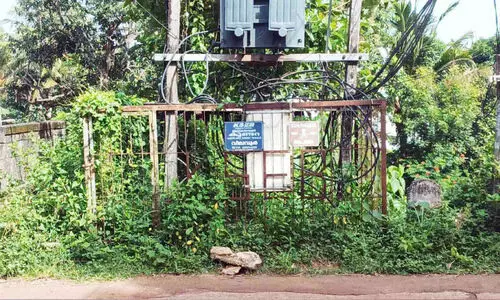 ട്രാൻസ്ഫോമറും പരിസരവും കാടുകയറിയ നിലയിൽ ട്രാൻസ്ഫോമറും പരിസരവും കാടുകയറിയ നിലയിൽ