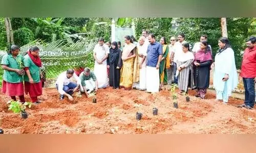 ഭക്ഷണമാലിന്യം ഇനി പച്ചക്കറിക്ക്​ ‘ഭക്ഷണം’