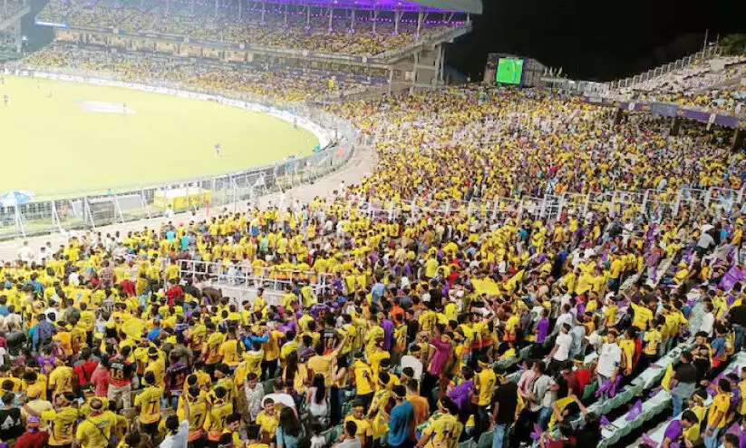 ചാ​ക​ര​യാ​യി ഐ.​പി.​എ​ൽ; ബി.​സി.​സി.​ഐ​ക്ക് റെ​ക്കോ​ഡ് വ​രു​മാ​നം