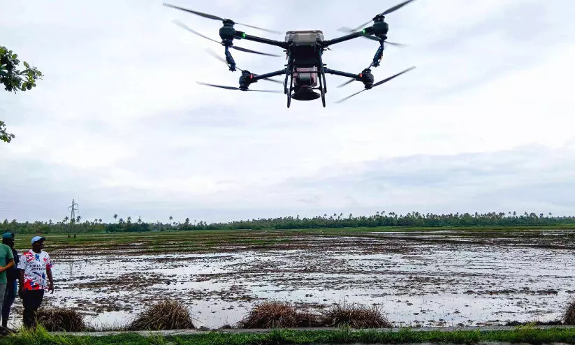 ചെമ്പകശേരി പാടത്ത്​ ആധുനിക രീതിയിൽ നെൽകൃഷി തുടങ്ങി; വിത്ത്​ വിതക്കാൻ ഡ്രോൺ