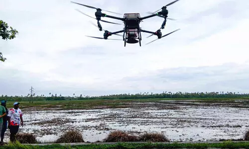 ചെമ്പകശേരി പാടത്ത്​ ആധുനിക രീതിയിൽ നെൽകൃഷി തുടങ്ങി; വിത്ത്​ വിതക്കാൻ ഡ്രോൺ