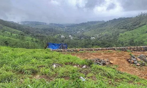 പരുന്തുംപാറ ഭൂമി വിഷയം; വീണ്ടും സങ്കീർണമാക്കാൻ ശ്രമം