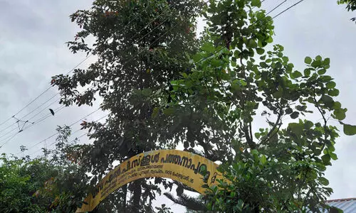 അപകടഭീതി ഉയർത്തി വൈദ്യുതി ലൈൻ; സ്കൂൾ അധികൃതർ അറിയിച്ചിട്ടും കെ.എസ്.ഇ.ബിക്ക് മൗനം