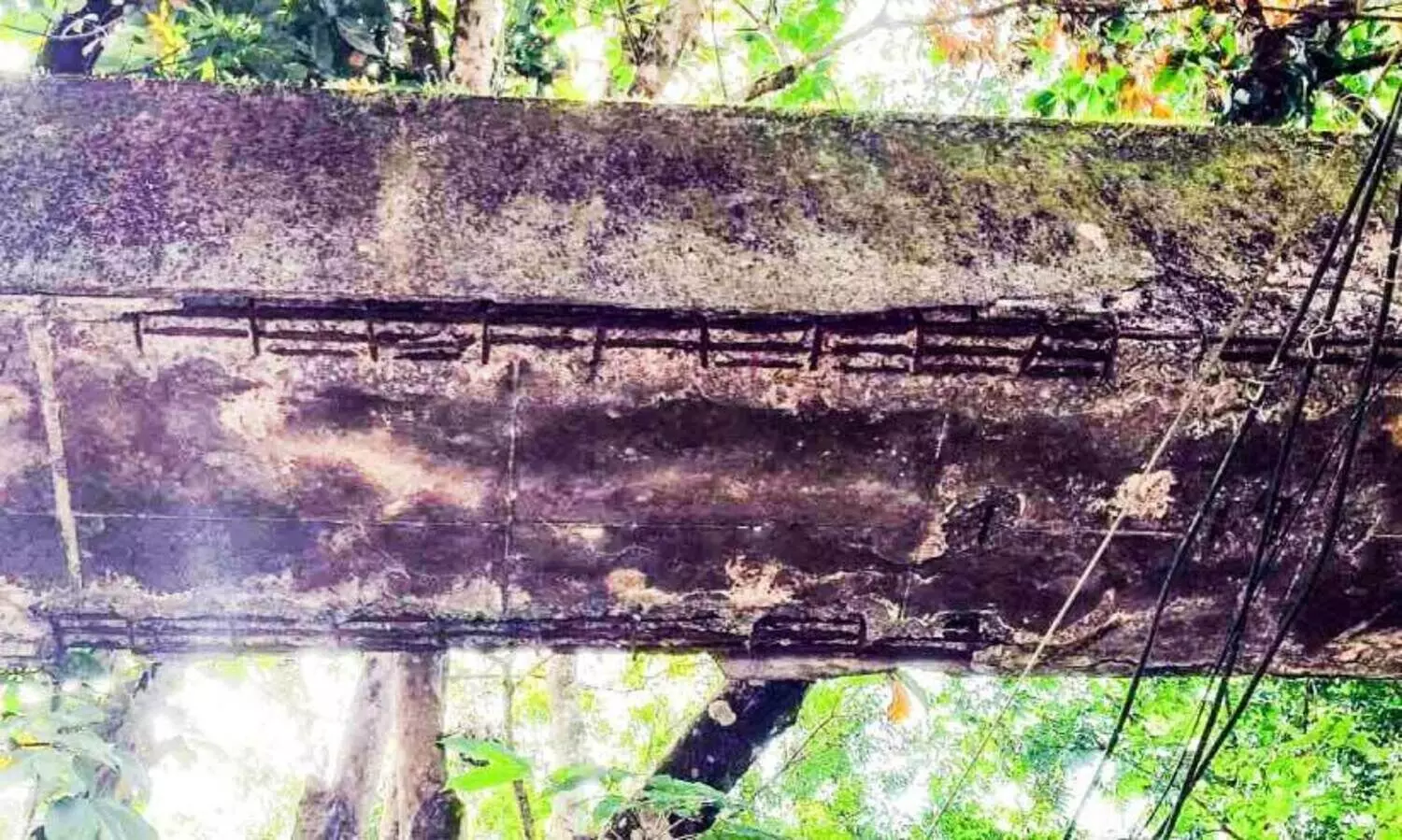 പെ​രി​യാ​ർ​വാ​ലി ക​നാ​ൽ; അ​പ​ക​ടം ത​ല​ക്കു​മു​ക​ളി​ൽ