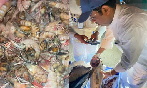 ഭ​ക്ഷ്യയോ​ഗ്യ​മ​ല്ലാ​ത്ത 10 ട​ൺ മ​ത്സ്യ​വും ചെ​മ്മീ​നും പി​ടി​ച്ചെ​ടു​ത്തു