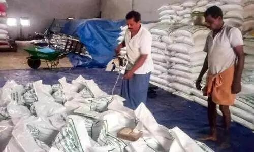 സ്വയംപര്യാപ്തതയിലേക്ക്​ ‘വിത്ത്​ ഗ്രാമം’ പദ്ധതി