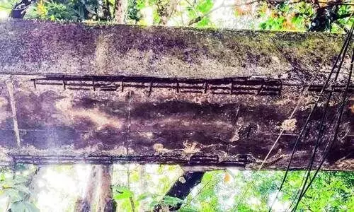 പെ​രി​യാ​ർ​വാ​ലി ക​നാ​ൽ; അ​പ​ക​ടം ത​ല​ക്കു​മു​ക​ളി​ൽ