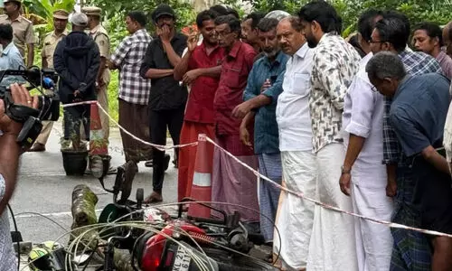 ഷോക്കേറ്റ് മരണത്തിൽ വീണ്ടും പഴിചാരൽ; മരംമുറിക്കാൻ സമ്മതിച്ചില്ലെന്ന് മന്ത്രി കെ. കൃഷ്ണൻകുട്ടി, നിഷേധിച്ച് സ്ഥലമുടമ