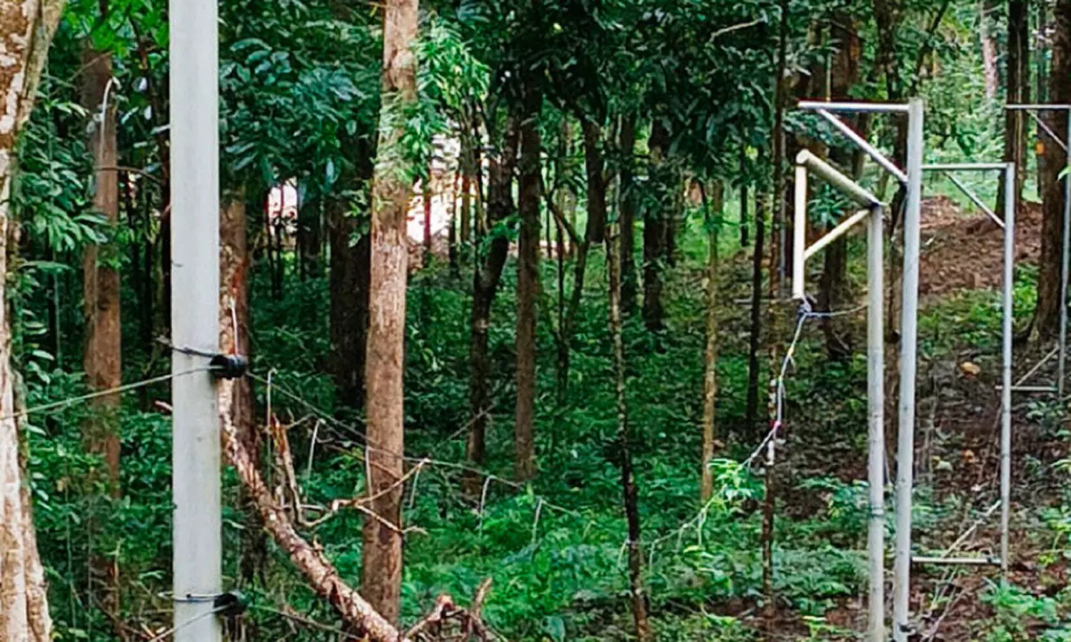 മരം വീണ് തകര്‍ന്ന ഹാങിങ് ഫെൻസ്​ പുനഃസ്ഥാപിക്കാന്‍ നടപടിയില്ല