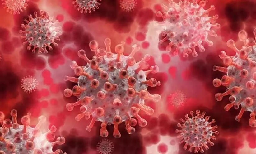 നിപ: സമ്പർക്കപട്ടികയിൽ 418 പേർ