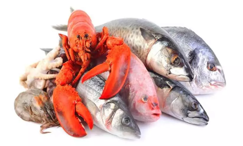 രാസവസ്തു ചേര്ത്ത മത്സ്യവില്പന തകൃതി; കണ്ടില്ലെന്ന് നടിച്ച് അധികൃതര് രാസവസ്തു ചേര്ത്ത മത്സ്യവില്പന തകൃതി; കണ്ടില്ലെന്ന് നടിച്ച് അധികൃതര്