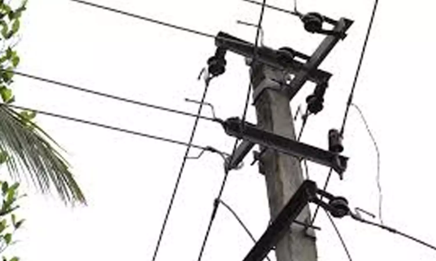 പോസ്റ്റിലെ കേബിൾവഴി കെ.എസ്.ഇ.ബിക്ക് മികച്ച വരുമാനം, കിട്ടുന്നത് ശതകോടികൾ; അപകടങ്ങളിൽ നഷ്ടപരിഹാരത്തിന് വ്യവസ്ഥയില്ല