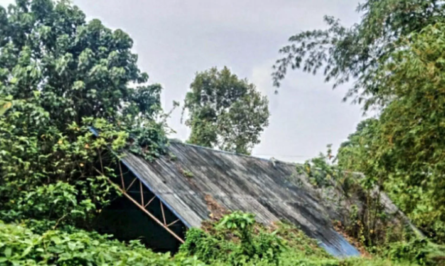 ഇഴജന്തുക്കളുടെ വിഹാരകേന്ദ്രമായി കാഞ്ഞിരപ്പള്ളി വോളിബാൾ ഇൻഡോർ സ്റ്റേഡിയം