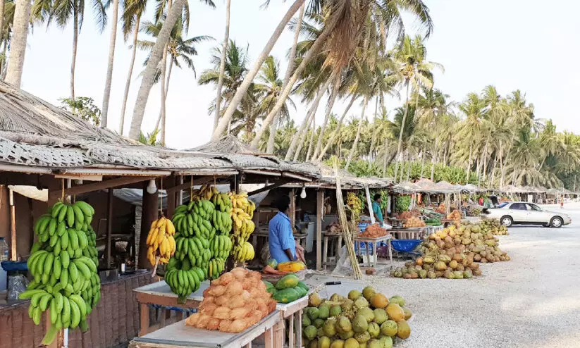 ഖരീഫ് സീസണിൽ സ്വകാര്യ മേഖലയിൽ താൽക്കാലികമായി തൊഴിലാളികളെ കൈമറാം ഖരീഫ് സീസണിൽ സ്വകാര്യ മേഖലയിൽ താൽക്കാലികമായി തൊഴിലാളികളെ കൈമറാം