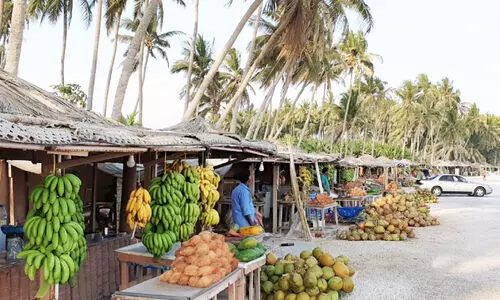ഖ​രീ​ഫ് സീ​സ​ണി​ൽ സ്വ​കാ​ര്യ മേ​ഖ​ല​യി​ൽ താ​ൽ​ക്കാ​ലി​ക​മാ​യി തൊ​ഴി​ലാ​ളികളെ കൈ​മ​റാം