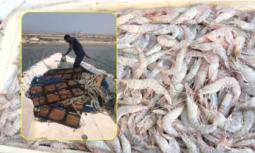 ചെ​മ്മീ​ൻ​പി​ടി​ത്ത നി​രോ​ധ​ന ന​യം പു​നഃ​പ​രി​ശോ​ധി​ക്ക​ണം - ഫി​ഷ​ർ​മെ​ൻ സൊ​സൈ​റ്റി