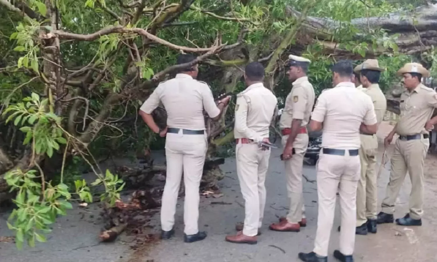 ബൈക്കിന് മേൽ മരംവീണ് യുവ ദമ്പതികൾ മരിച്ചു; പിഞ്ചുകുഞ്ഞിന് പരിക്ക്