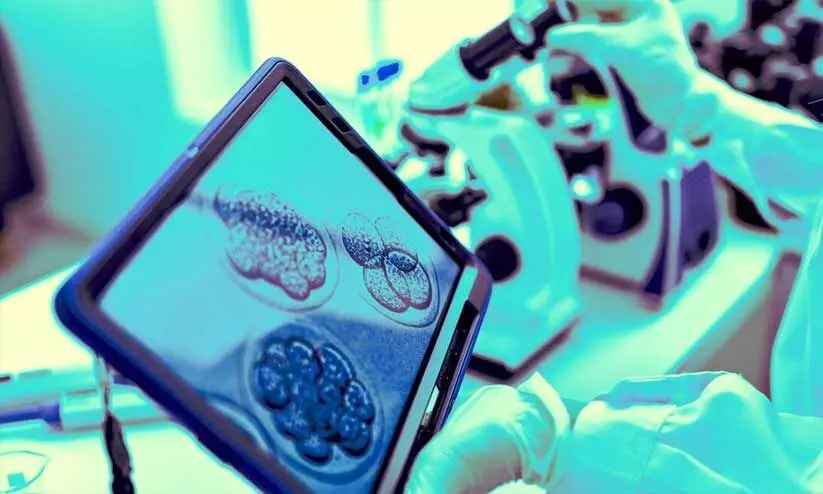 Saudi Arabia to conduct extensive studies on human embryos Saudi Arabia to conduct extensive studies on human embryos