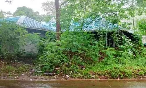 കോവിഡ് ഐസൊലേഷൻ വാർഡ് കെട്ടിടം കാടുമൂടി നശിക്കുന്നു കോവിഡ് ഐസൊലേഷൻ വാർഡ് കെട്ടിടം കാടുമൂടി നശിക്കുന്നു