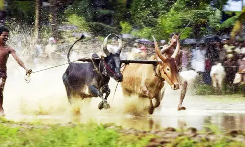 നിലച്ചിട്ട്​ 17 വർഷം; മടങ്ങിയെത്തുമോ, ആനന്ദപ്പള്ളി മരമടി