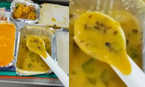 വന്ദേഭാരത് എക്സ്പ്രസിലെ ഭക്ഷണത്തിൽ പ്രാണി; ക്ഷമാപണവുമായി ഇന്ത്യൻ റെയിൽവേ