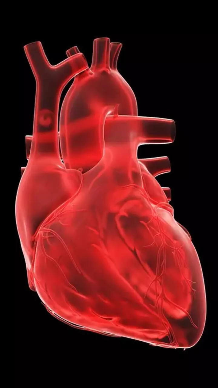 ഹൃദയാഘാതം! പൊതുവെ അവഗണിക്കുന്ന 5 ഗുരുതര ലക്ഷണങ്ങൾ