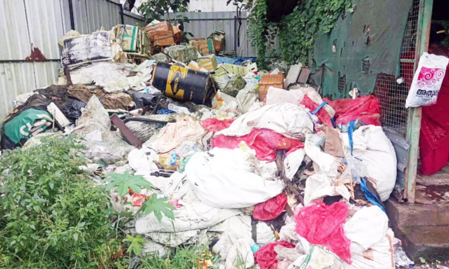 കമ്പോസ്റ്റ് യൂനിറ്റിൽ പെരുമ്പാമ്പ്