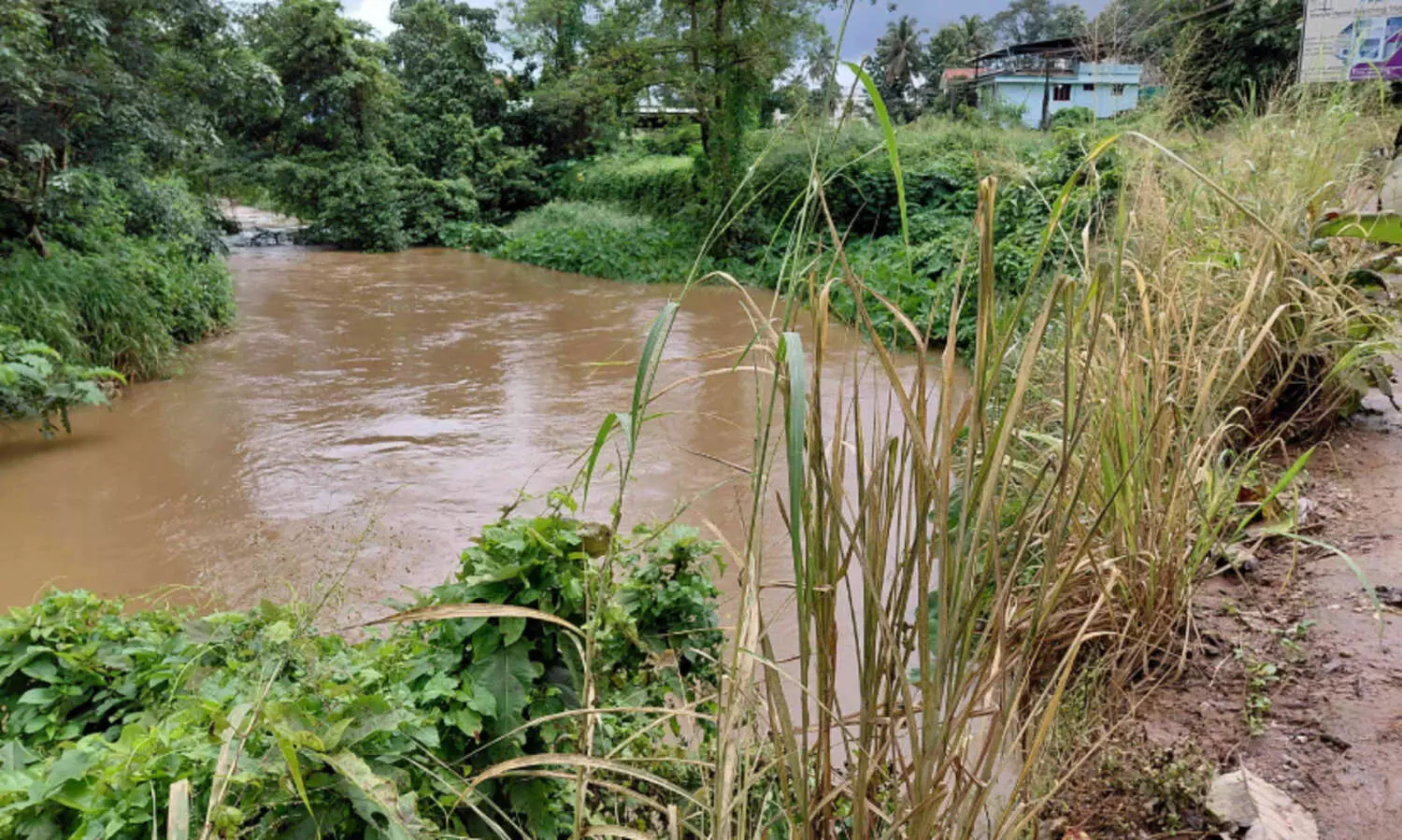 സംരക്ഷണമില്ലാതെ കല്ലുംകടവ് തോട്; വെള്ളപ്പൊക്ക ഭീഷണിയിൽ പ്രദേശം