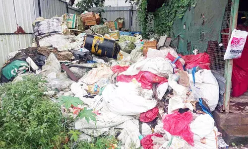 കമ്പോസ്റ്റ് യൂനിറ്റിൽ പെരുമ്പാമ്പ്