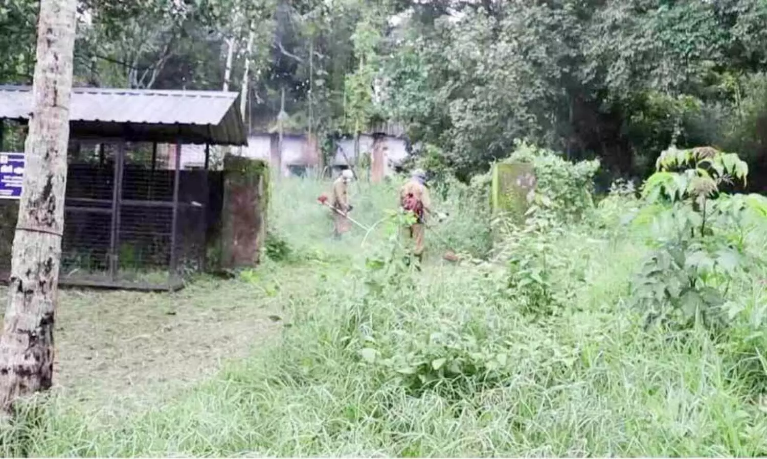 കാടുകയറിയ പവർലൂം ഫാക്ടറി ഉപയോഗപ്പെടുത്താനൊരുങ്ങി നാട്ടുകാർ; ഉടക്കിട്ട് വ്യവസായ വകുപ്പ്