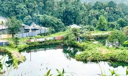 വെള്ളംനിറഞ്ഞ് പാറമട; ആശങ്കയിൽ നാട്ടുകാർ വെള്ളംനിറഞ്ഞ് പാറമട; ആശങ്കയിൽ നാട്ടുകാർ