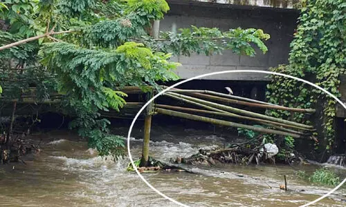 ഒഴുക്കിന് തടസ്സം സൃഷ്ടിച്ച് ഇരുമ്പ് തൂണുകൾ; വലിയതോട്ടിൽ മാലിന്യം കെട്ടിക്കിടക്കുന്നു