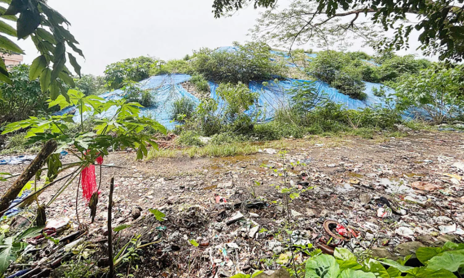 പണമോ നഷ്ടം; ഗുണമോ തുച്ഛം, ഞെളിയൻപറമ്പ് എന്ന വെള്ളാന