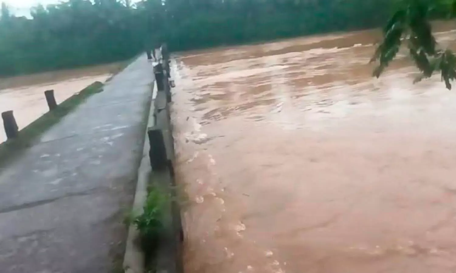 അടച്ചിട്ട കൊടിയമ്മ-കഞ്ചിക്കട്ട പാലം പൂർണ തകർച്ചയിലേക്ക്