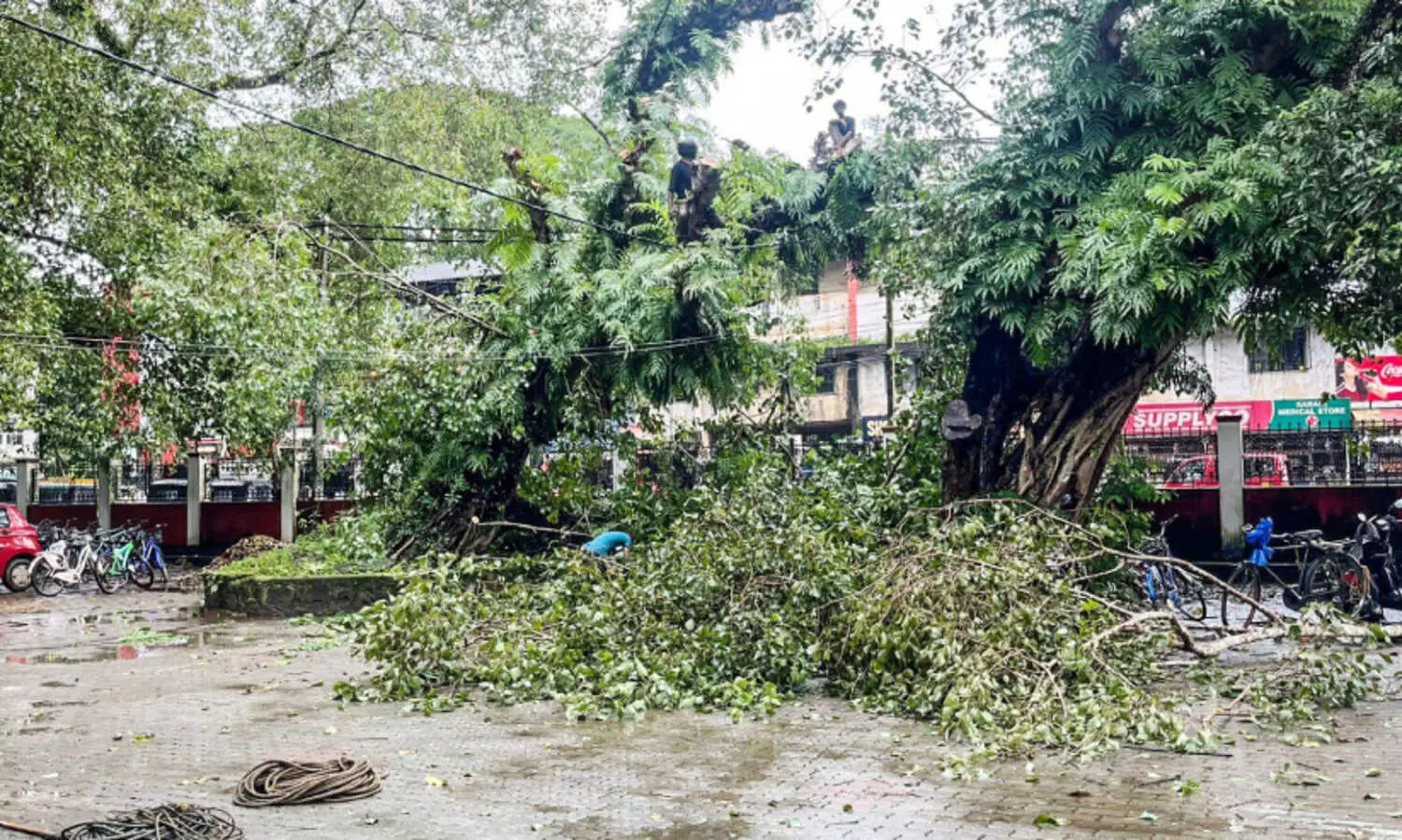 കനത്ത മഴയിൽ കുട്ടനാട്ടിൽ ജലനിരപ്പ്​ ഉയർന്നു