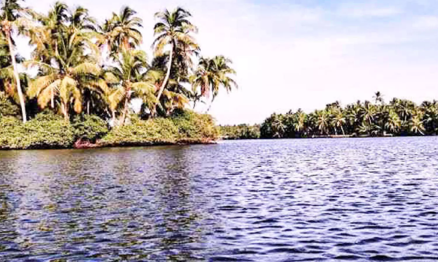 അരൂരിൽ താഴ്ന്ന പ്രദേശങ്ങൾ ​വെള്ളക്കെട്ടിൽ