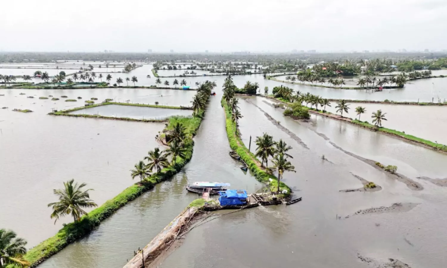 പോകാം... കൊച്ചുദ്വീപിലേക്ക്; മനസ്സ്​ കവർന്ന് കടമക്കുടി